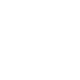 GGPoker 支持 VPN